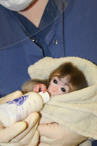 infant-feeding